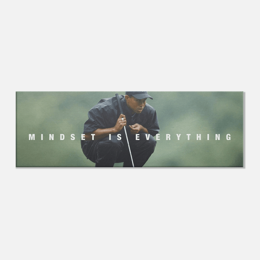 Mindset Is Everything - Phantom 4