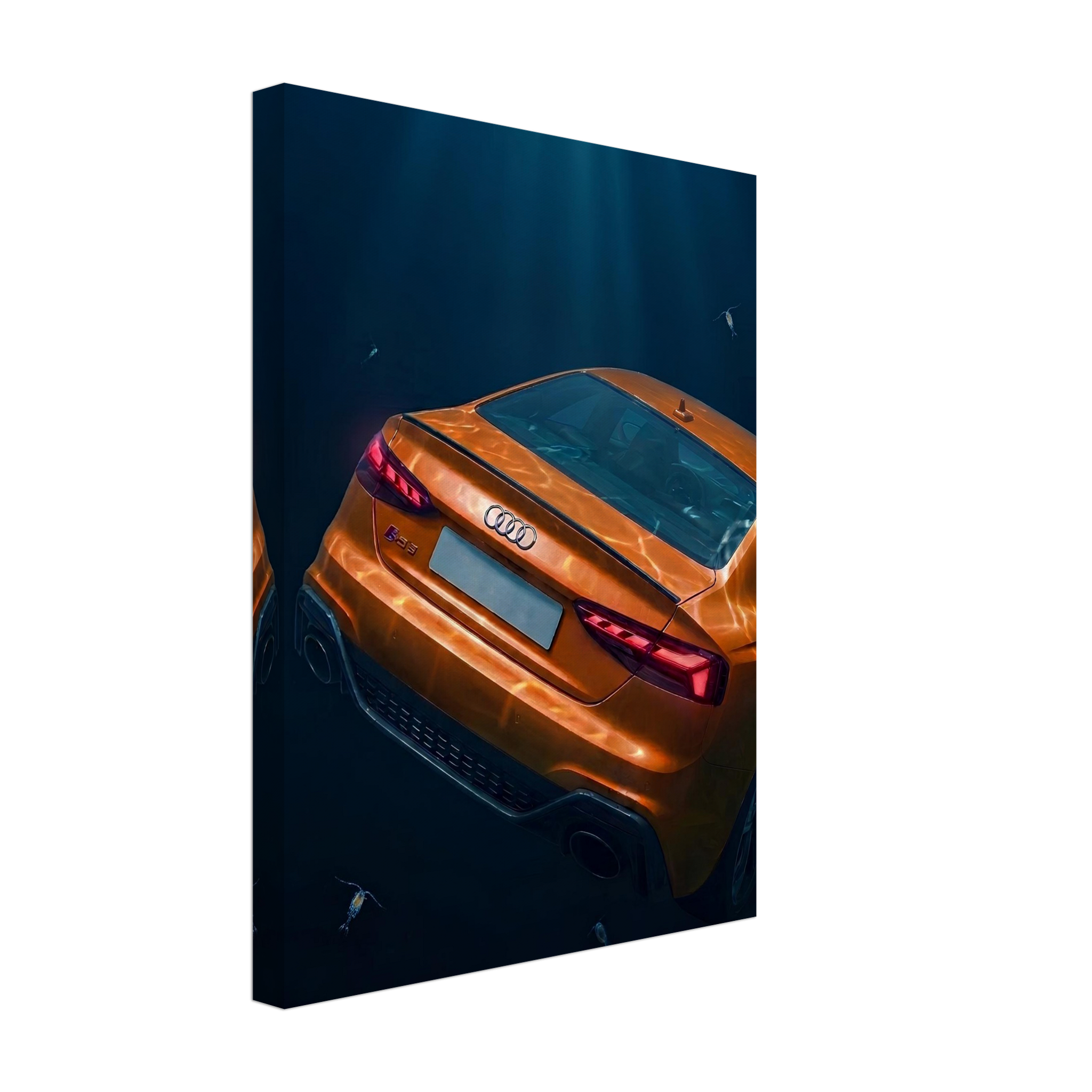 Submerged Elegance