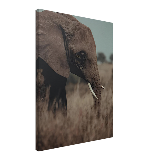 The Wisdom of the Wild