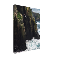 Coastal Sentinel