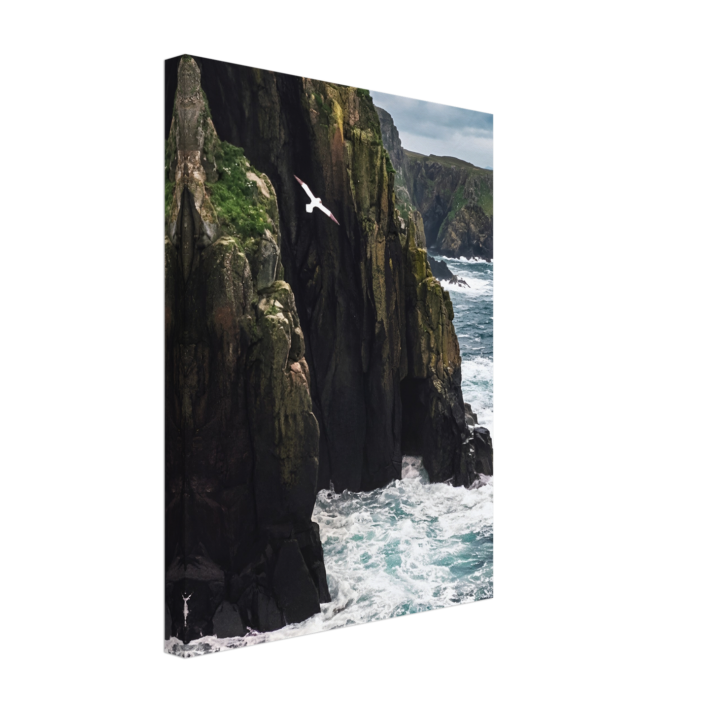 Coastal Sentinel