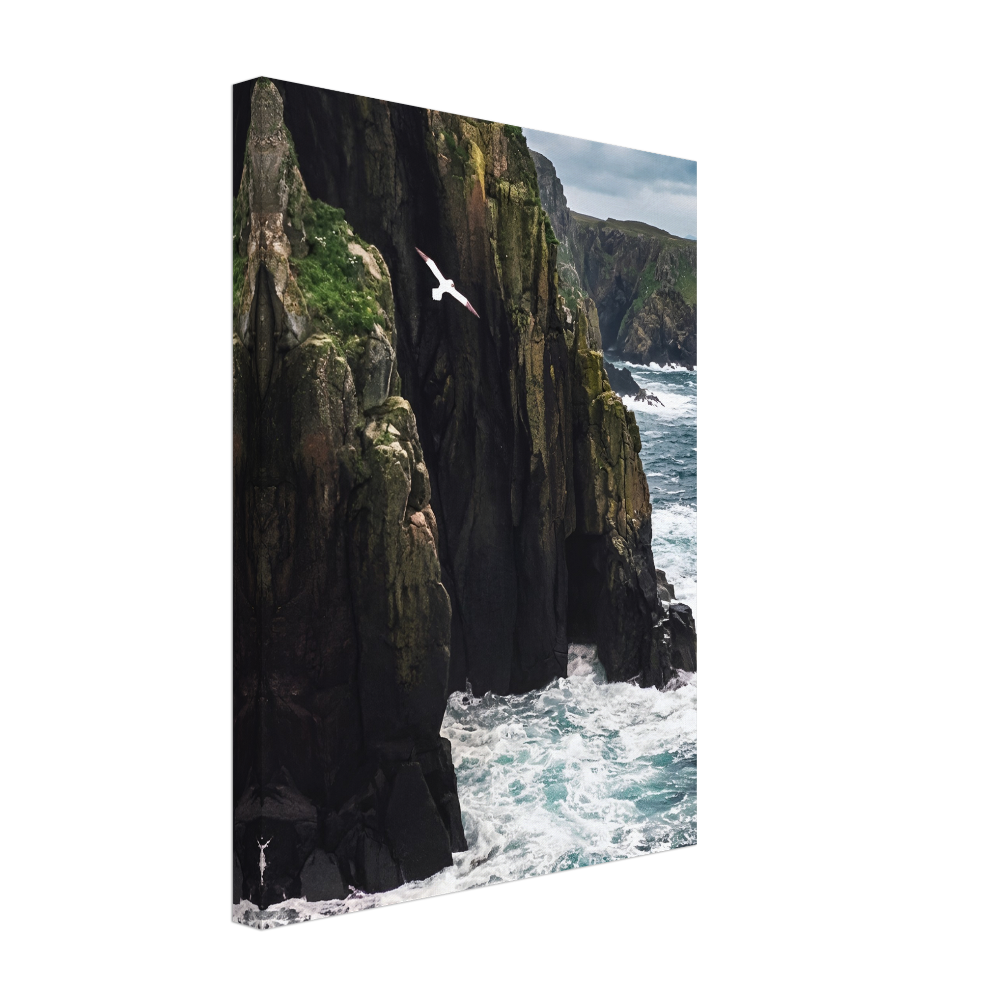 Coastal Sentinel