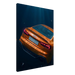Submerged Elegance