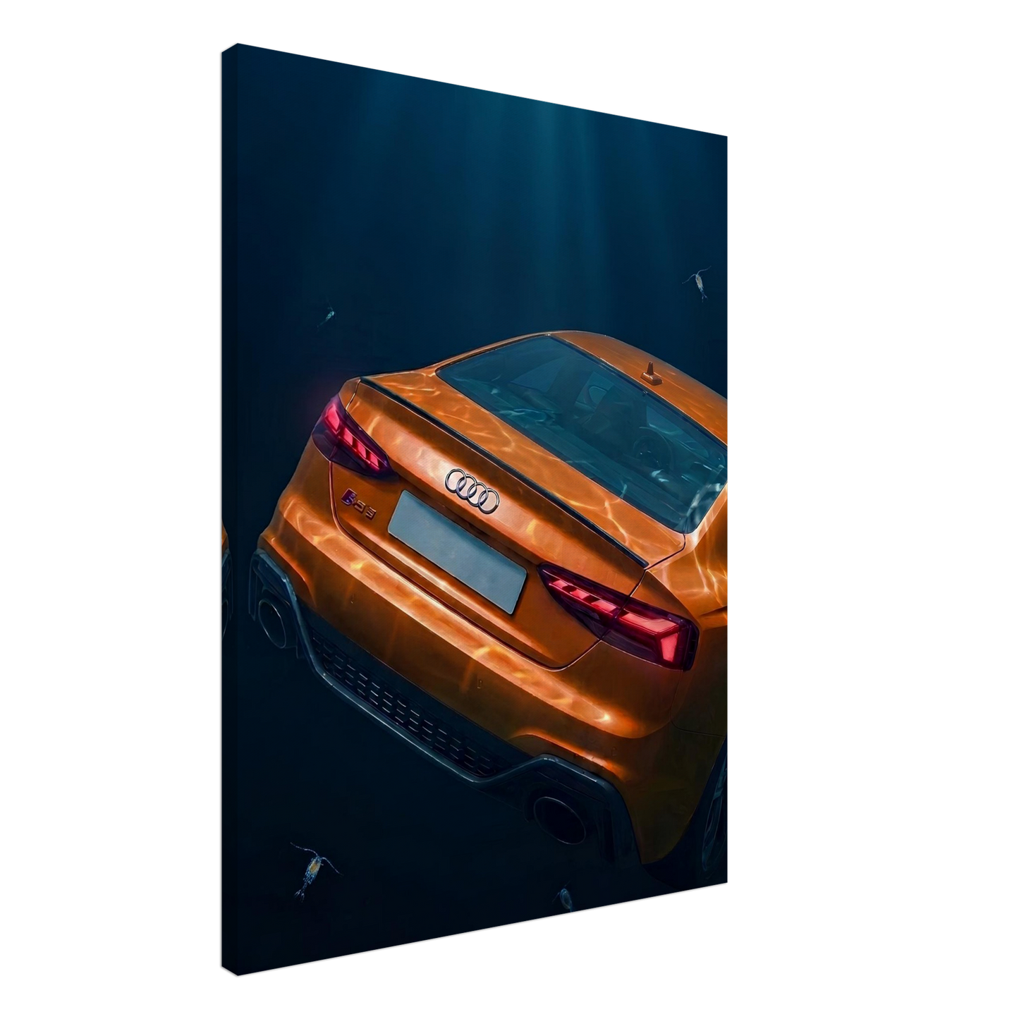 Submerged Elegance