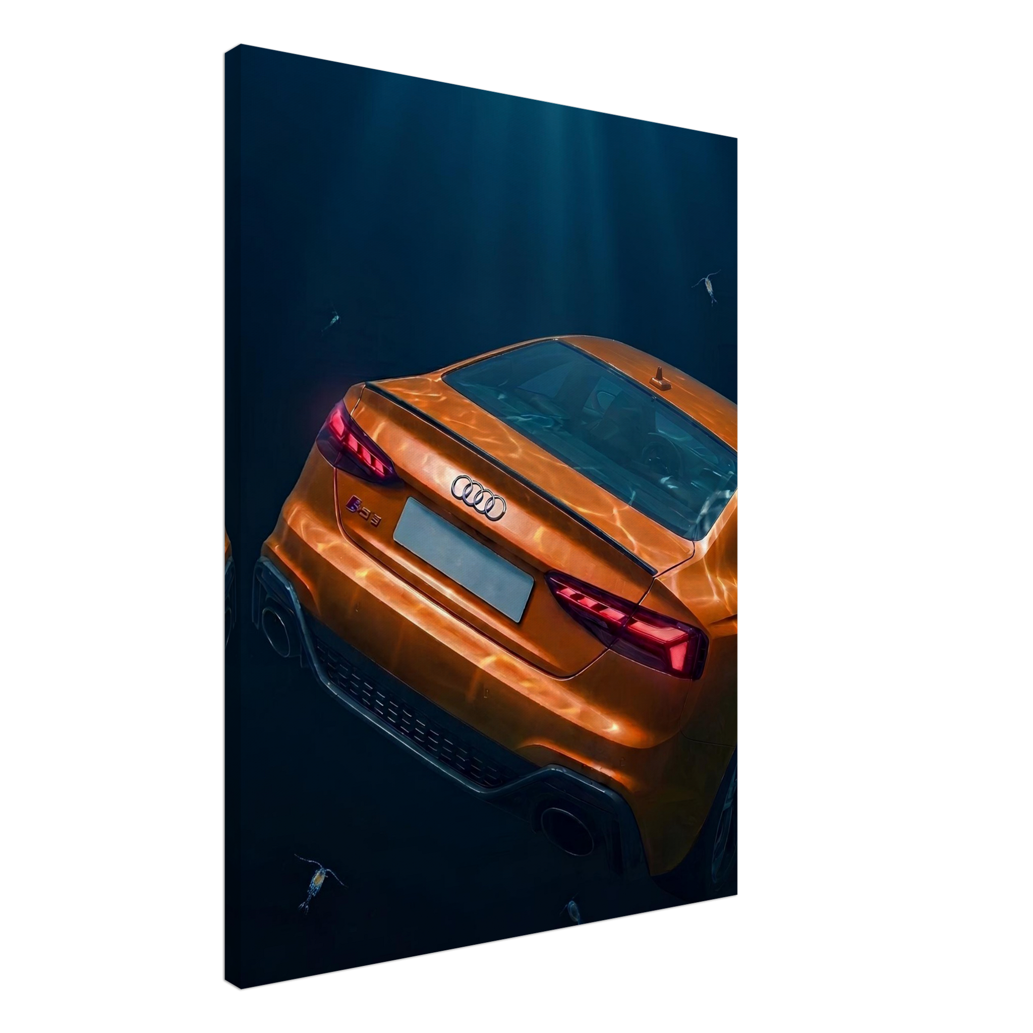 Submerged Elegance