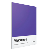 The Visionary