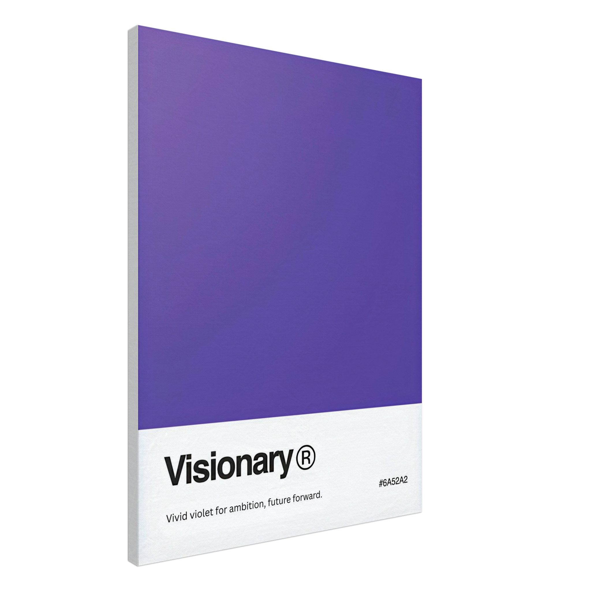 The Visionary