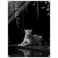 33e8be2e-4b12-4037-b05e-37ac1c043986
