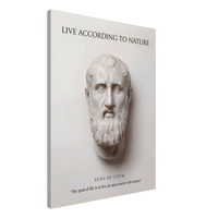 The Stoic Ideal