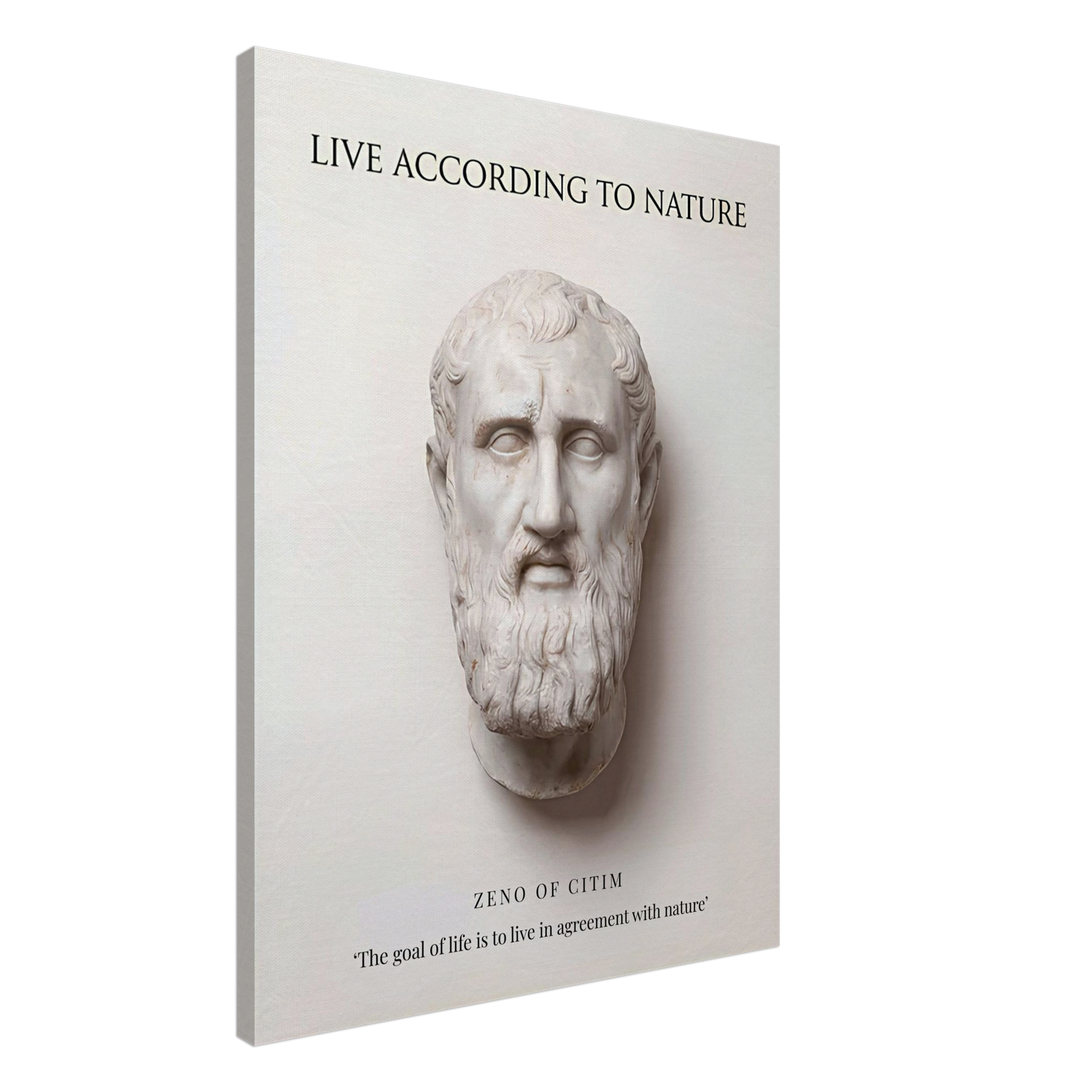 The Stoic Ideal