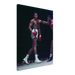 Poise of a Champion