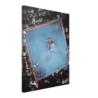 The Arena