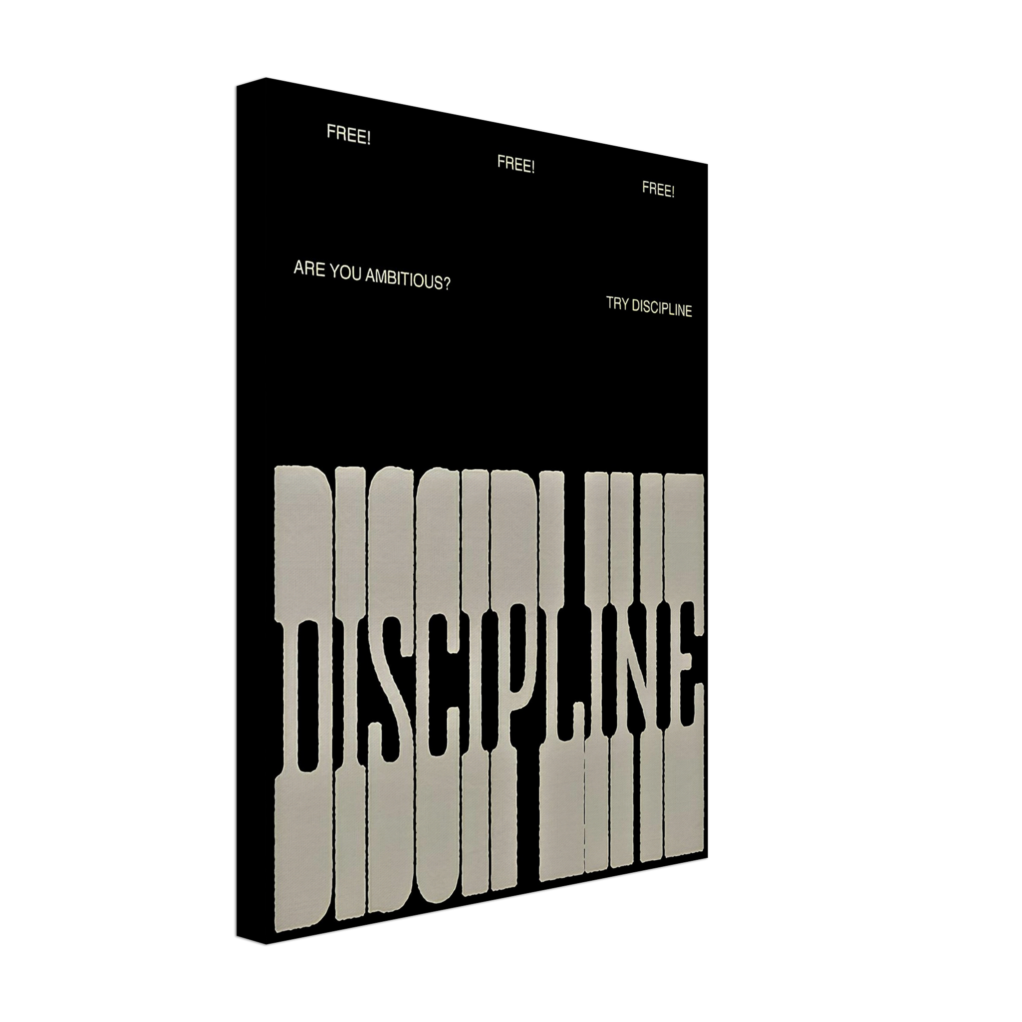 The Discipline