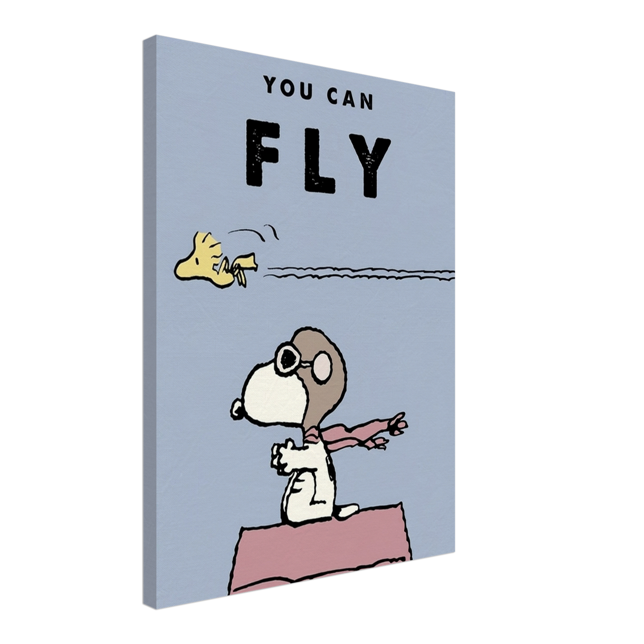 You Can Fly