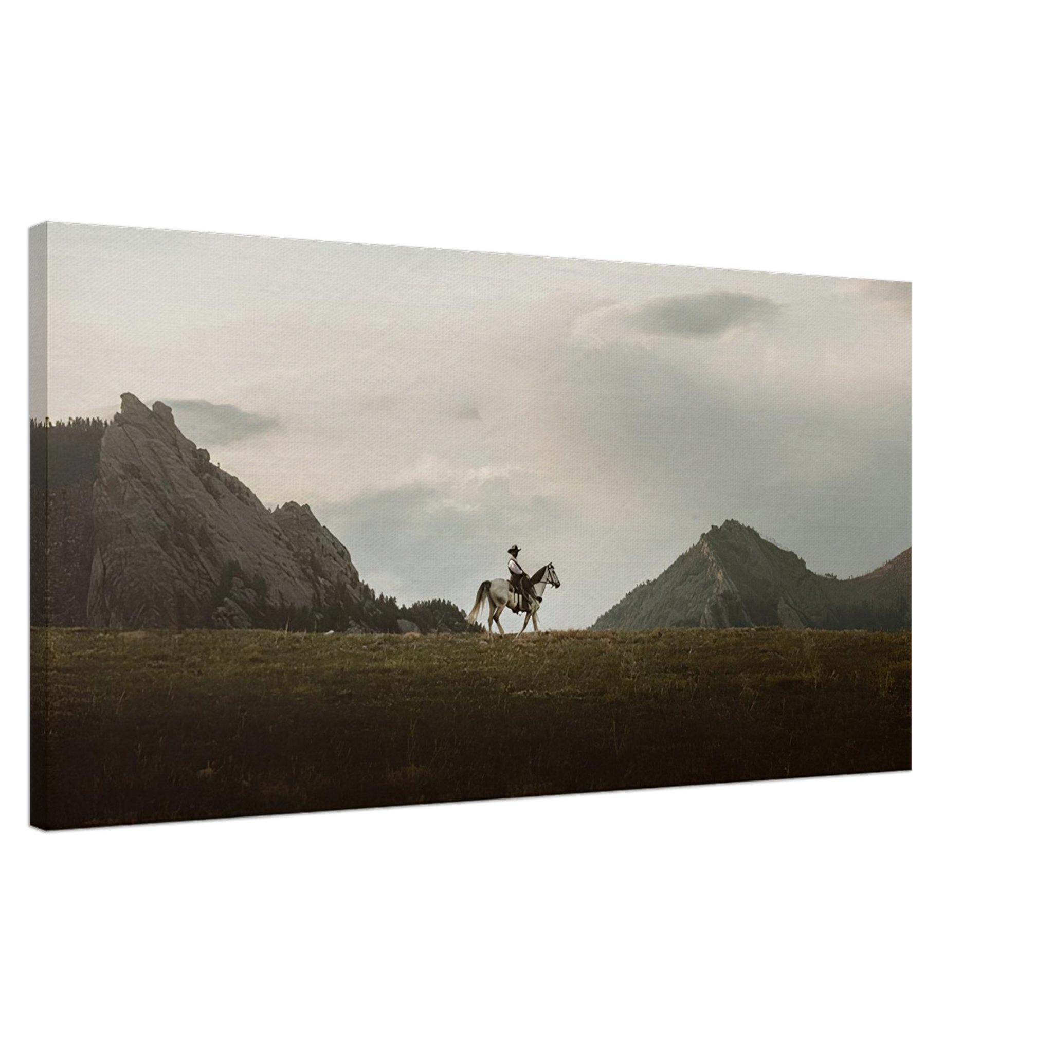 The Lone Rider