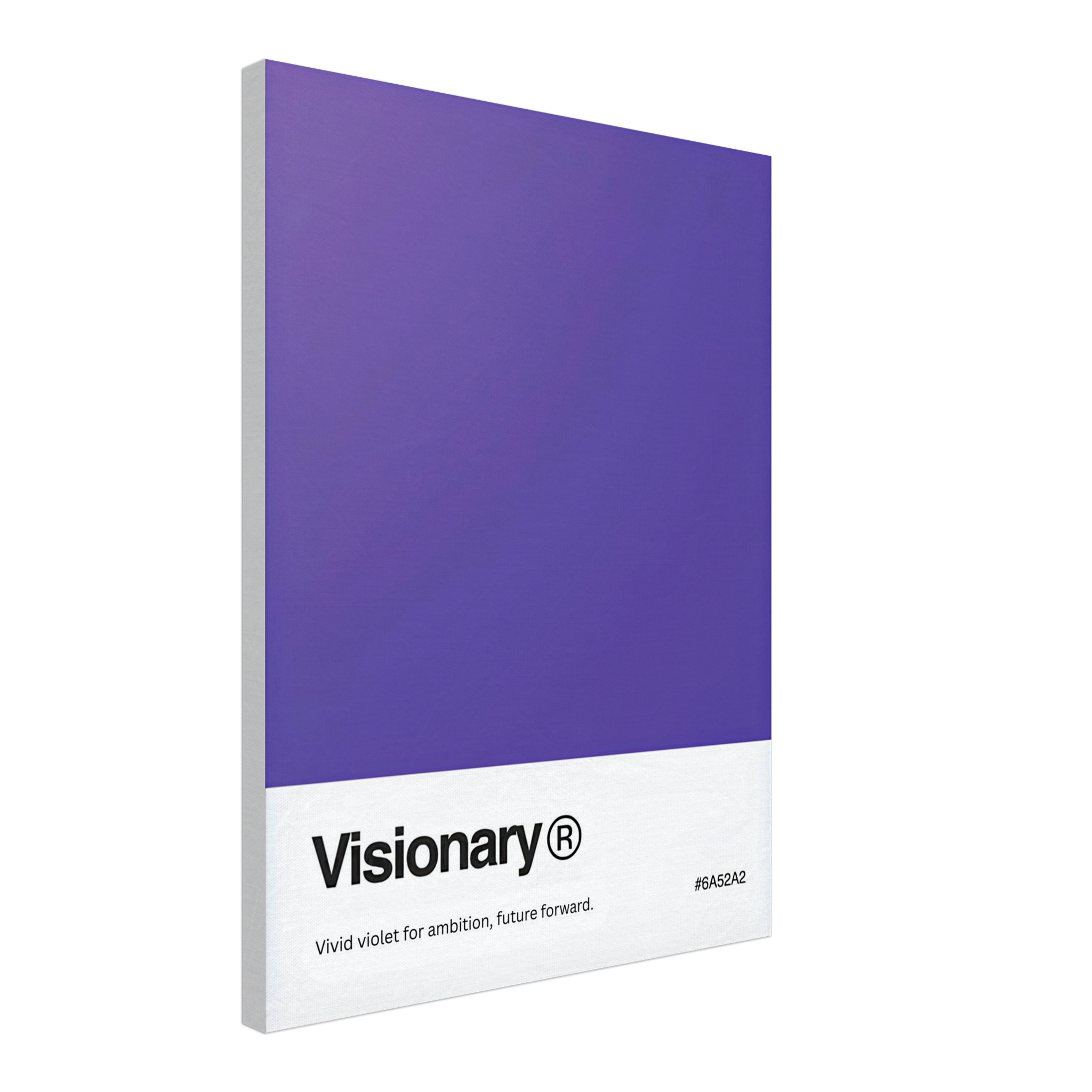 The Visionary