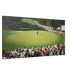 Championship Green