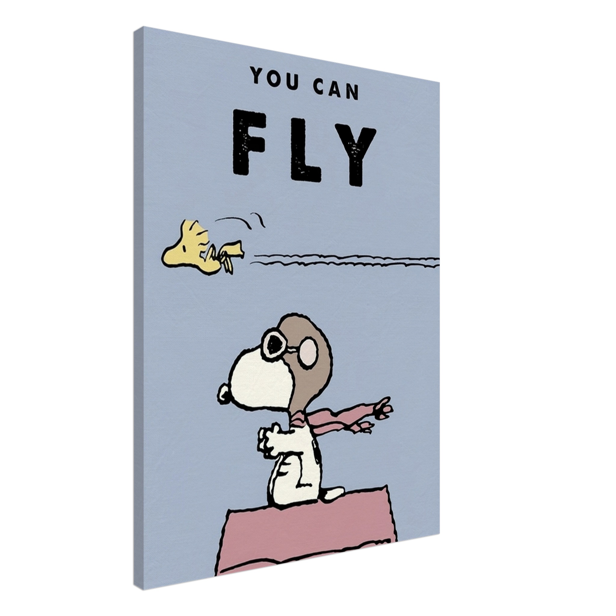 You Can Fly