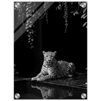 773ce0d3-7fa9-4924-b654-d0352df7e09f