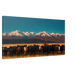 Field