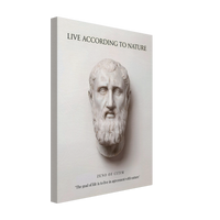The Stoic Ideal
