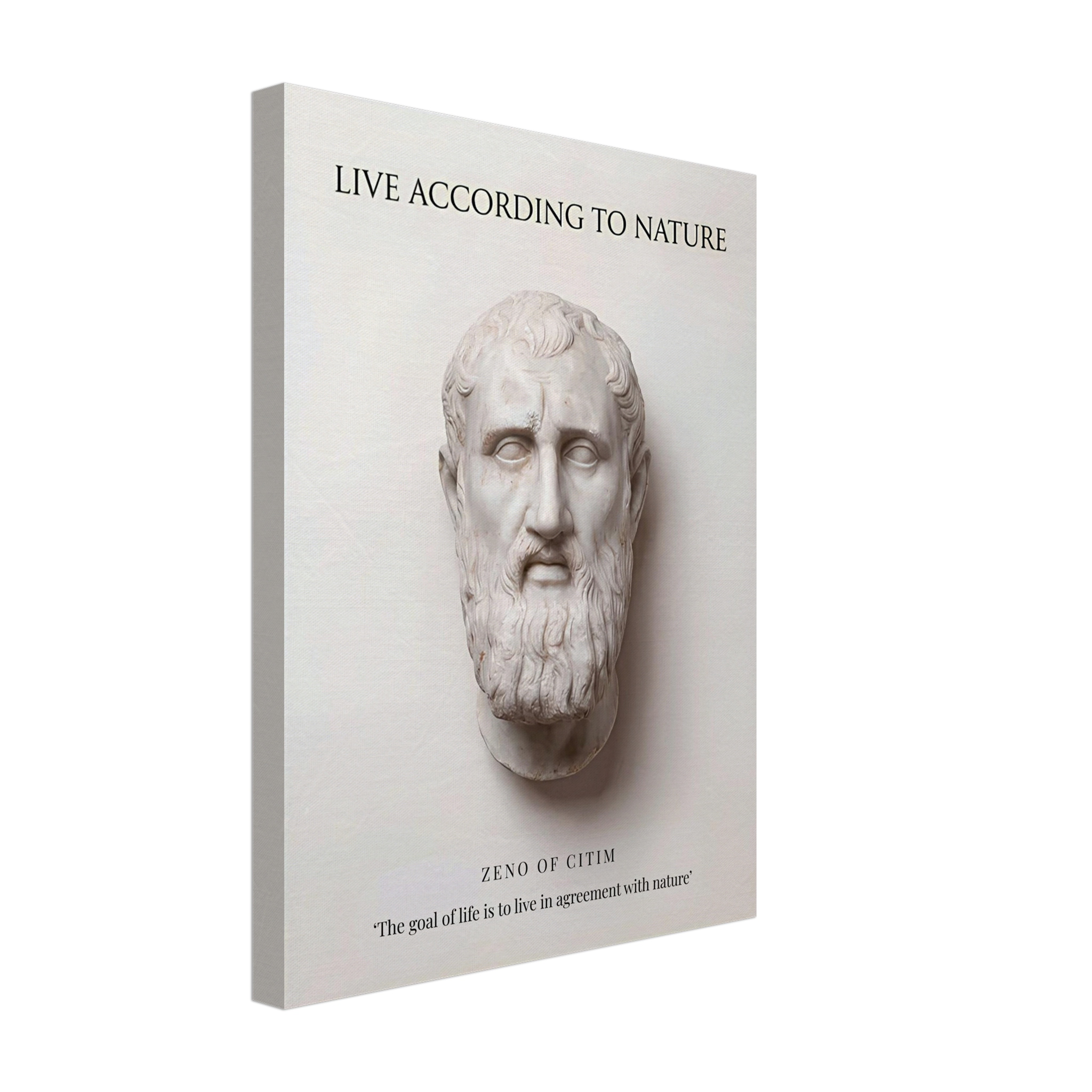 The Stoic Ideal