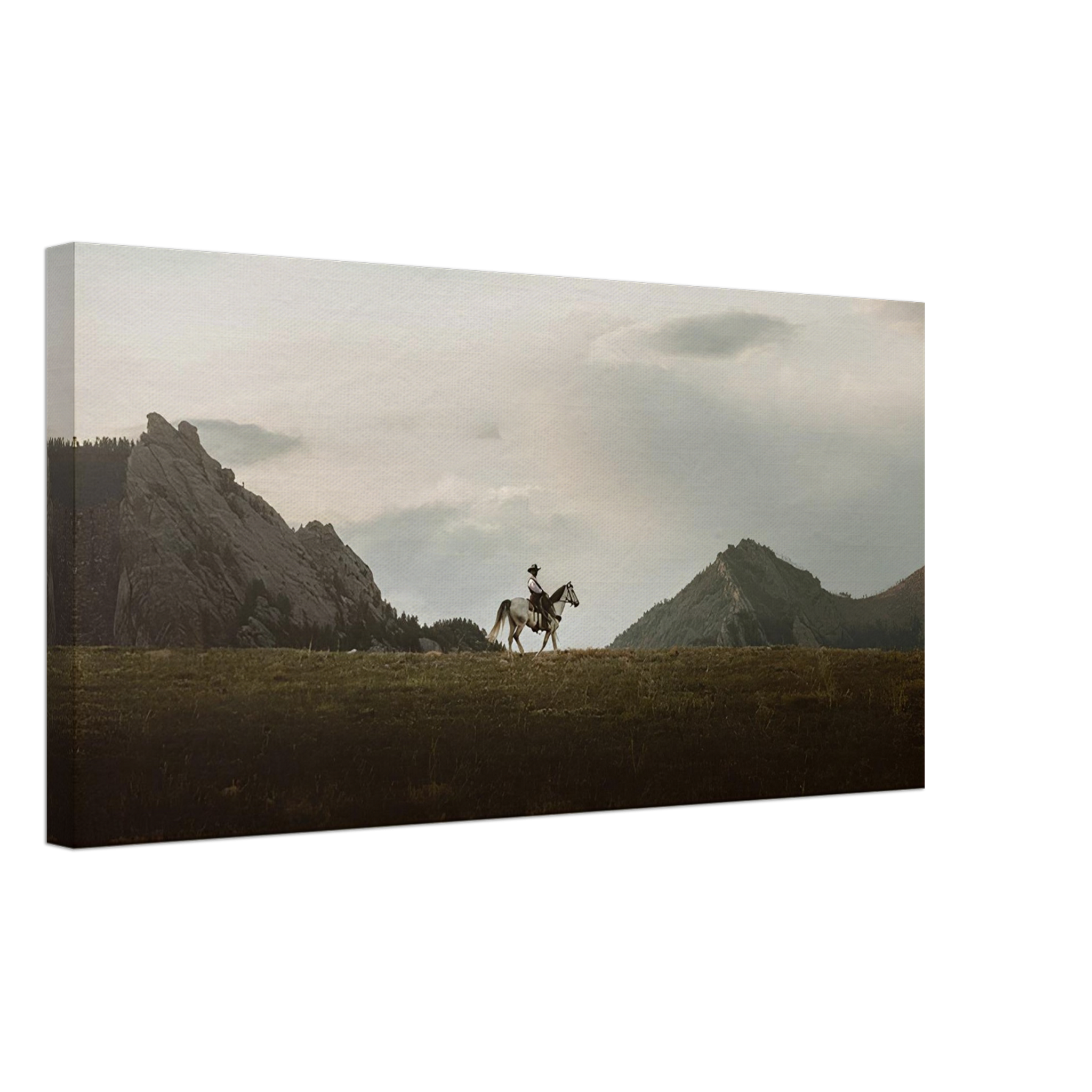 The Lone Rider
