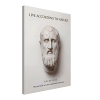 The Stoic Ideal