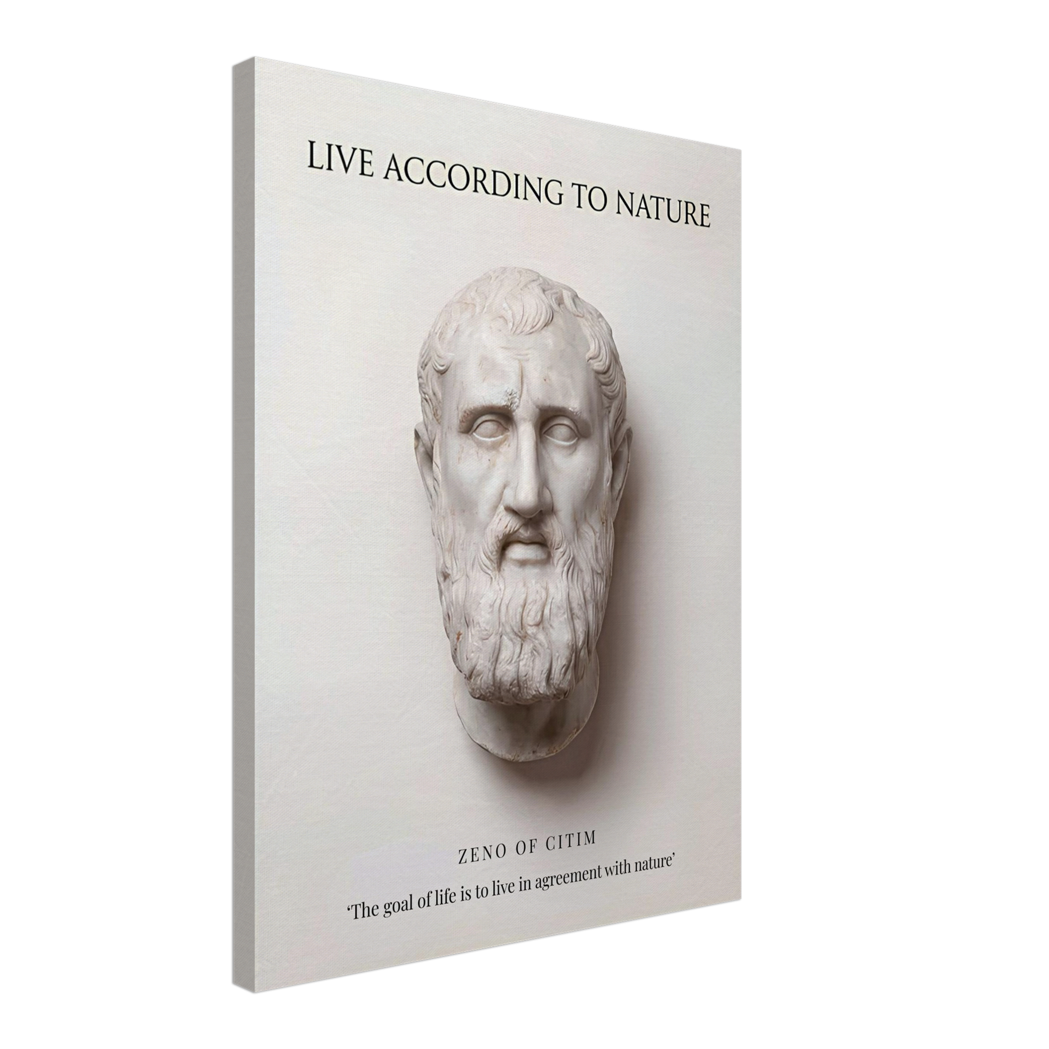 The Stoic Ideal