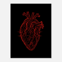 Anatomical Heart – Red Line Art Canvas