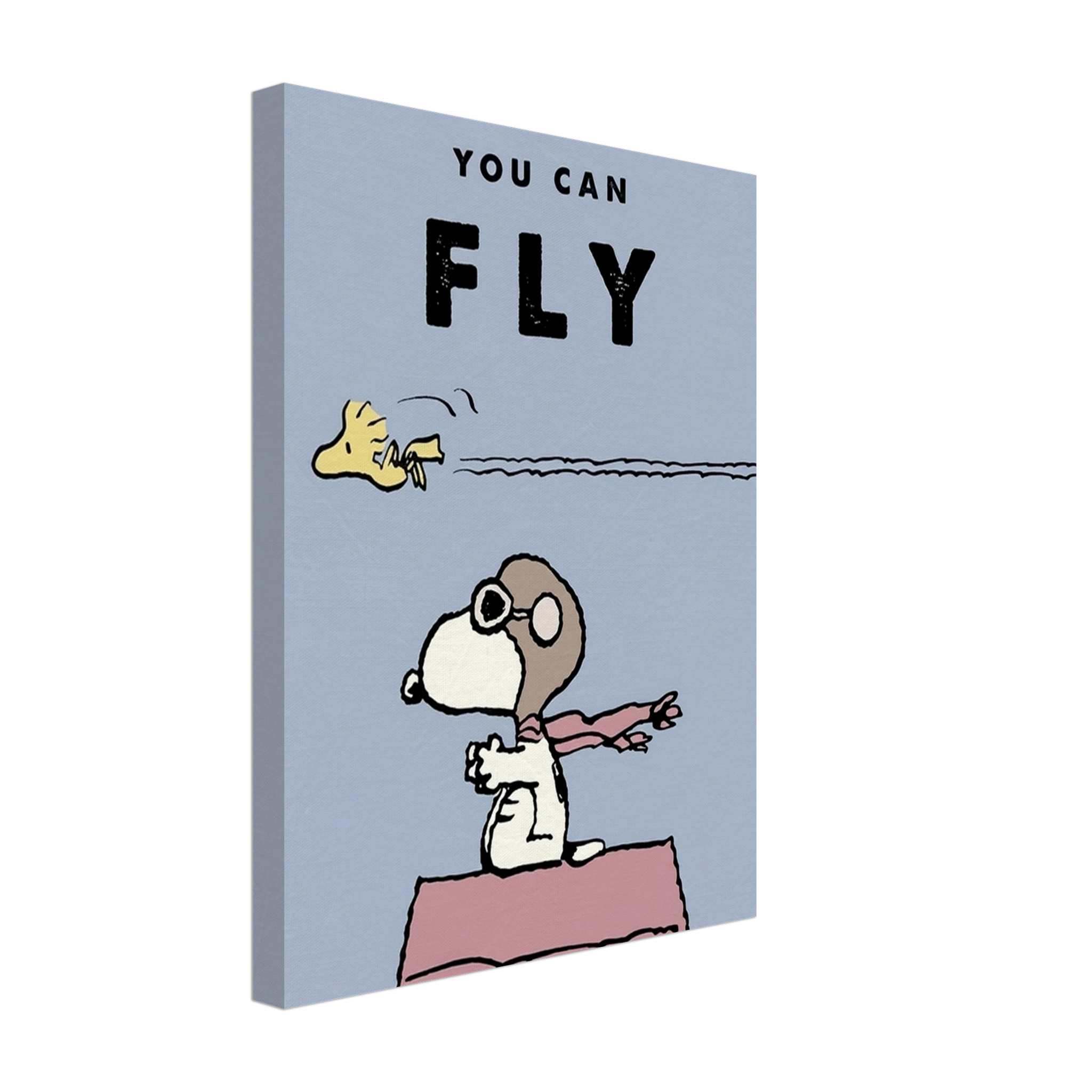 You Can Fly