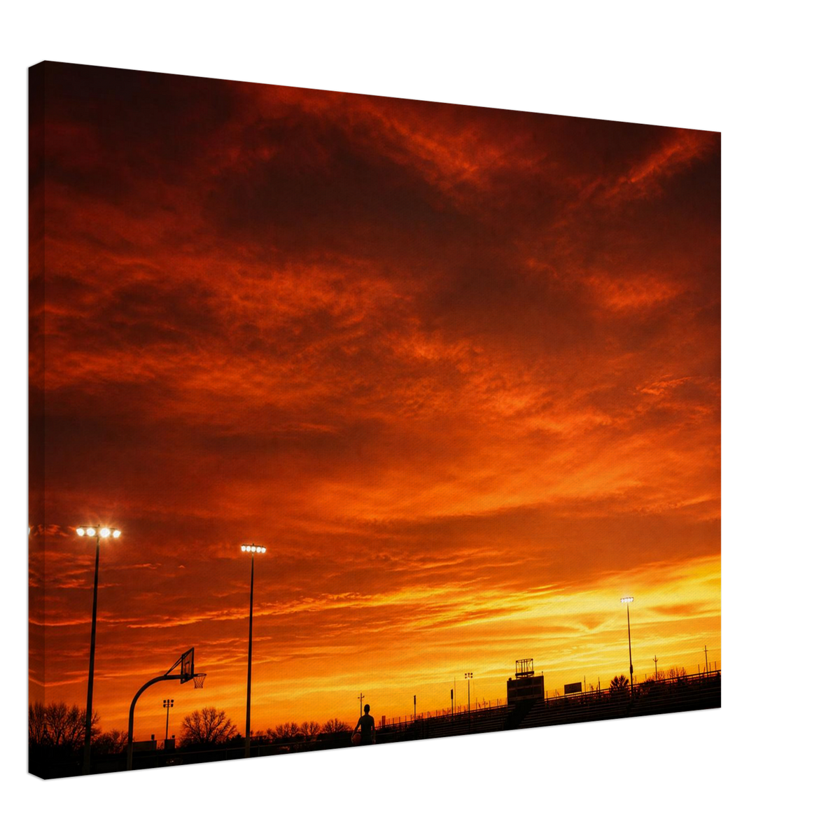 9d9ef940-c846-45f1-95c5-1c6869492c58