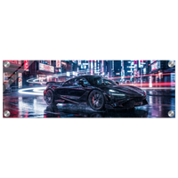 The Apex Run Acrylic canvas