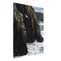 Coastal Sentinel