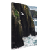 Coastal Sentinel