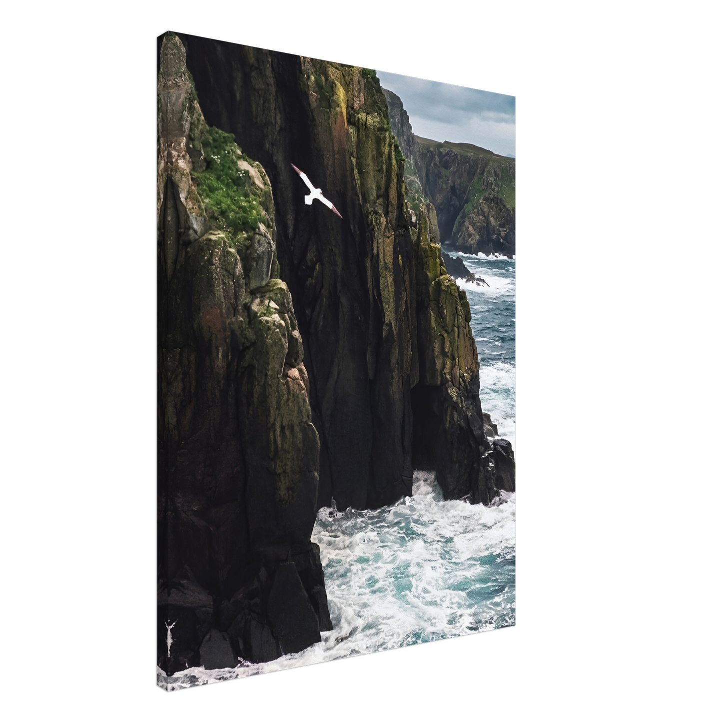 Coastal Sentinel