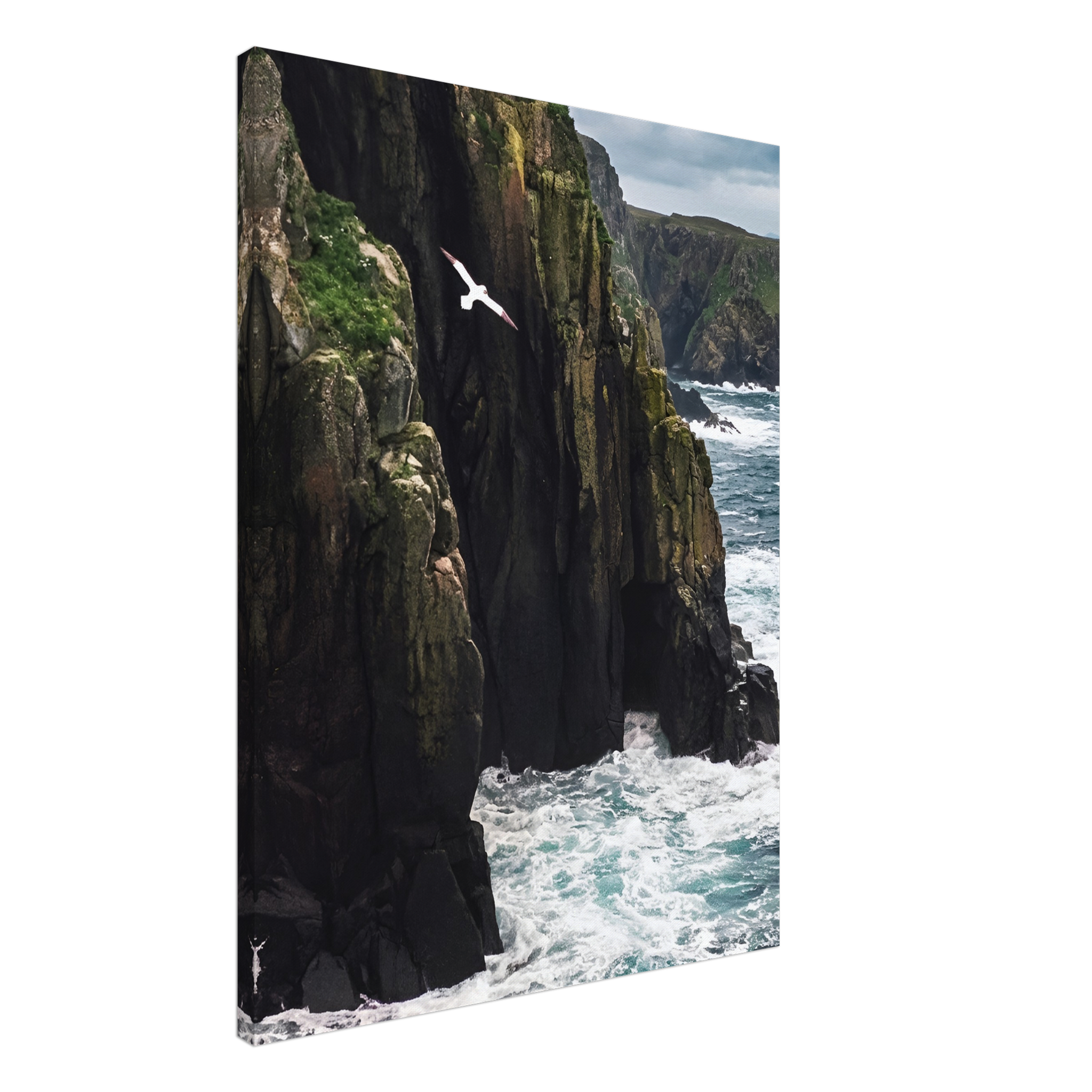 Coastal Sentinel