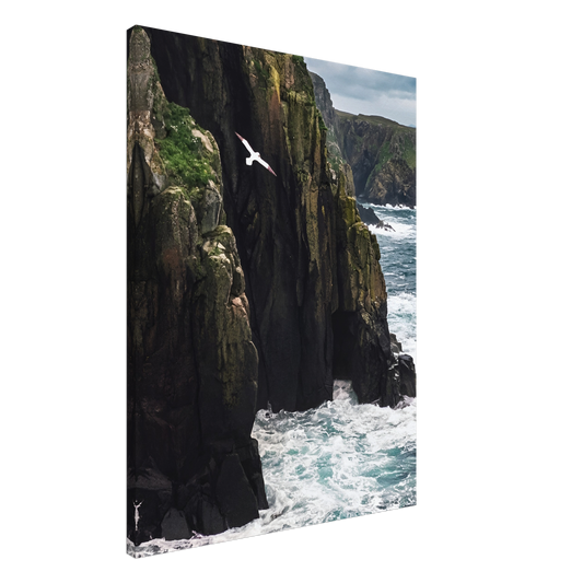Coastal Sentinel