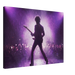 Purple Rain Reverie