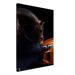 Evolved Power