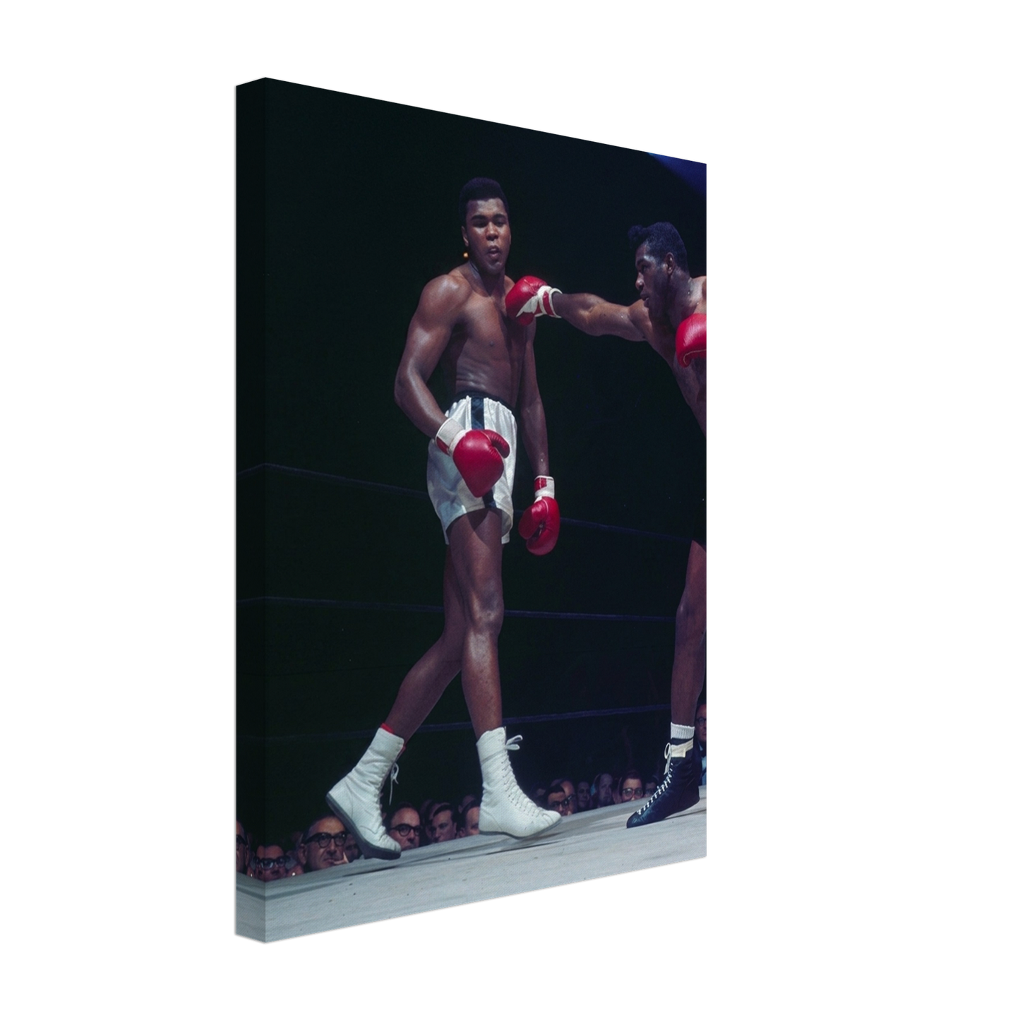 Poise of a Champion