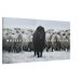 The Alpha Doctrine