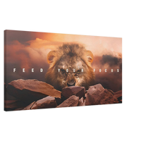 The Lion's Gaze