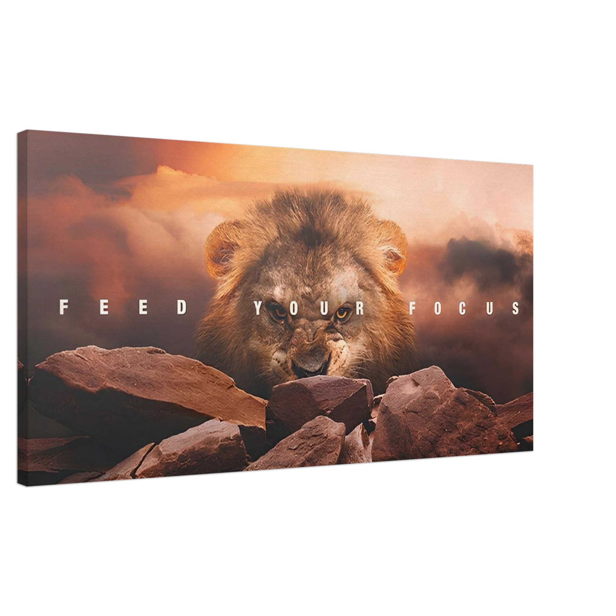 The Lion's Gaze