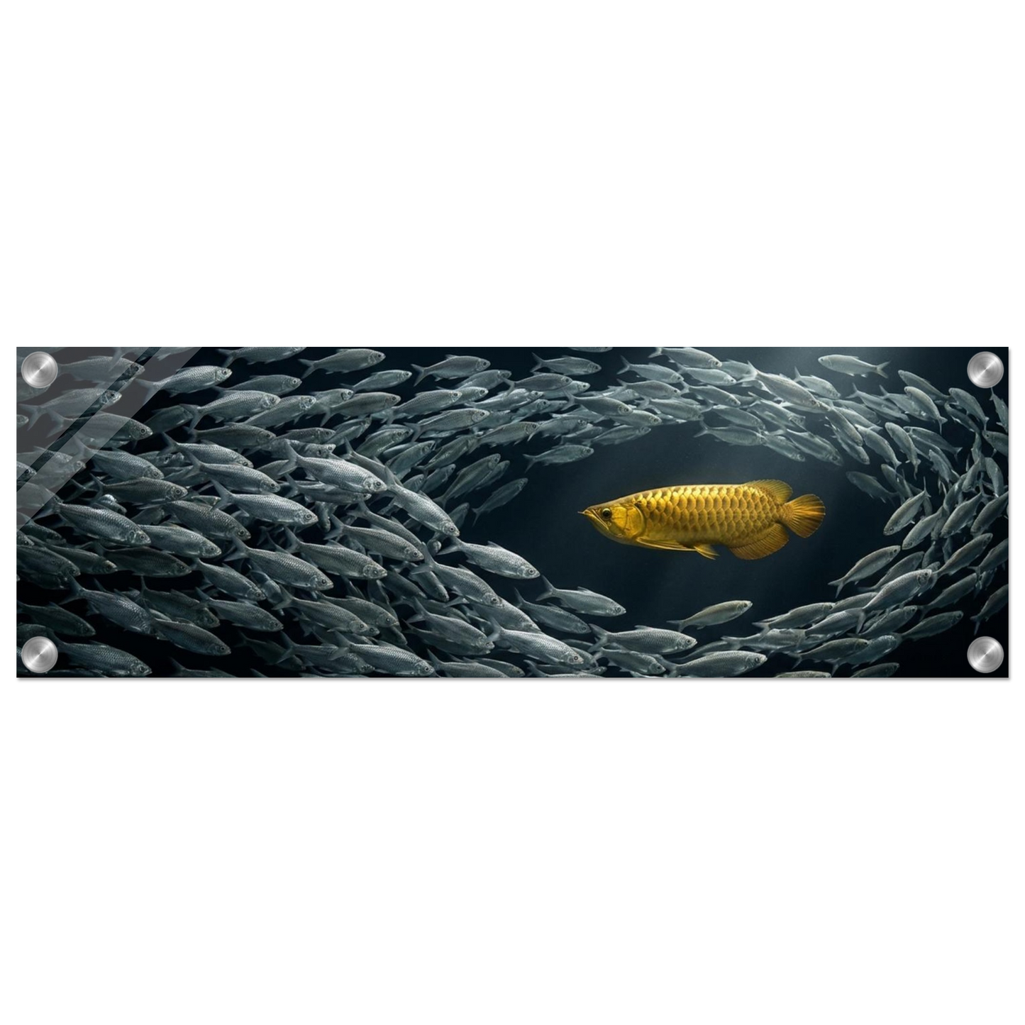 c4405f72-f7e8-47f1-b5d4-27af024ae183