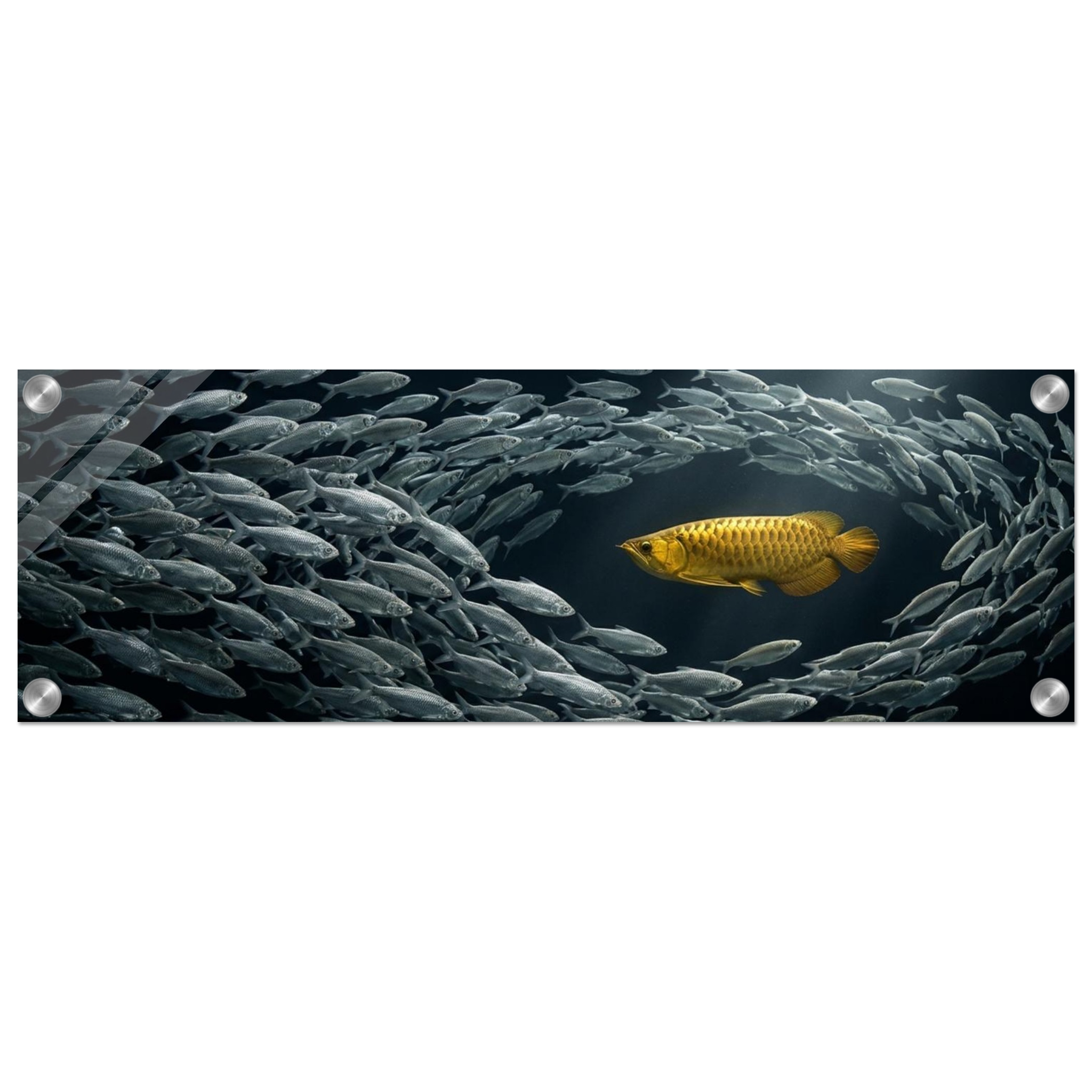 c4405f72-f7e8-47f1-b5d4-27af024ae183