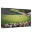 Championship Green - Phantom 4