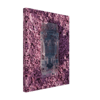 Cherry Blossom X-Ray - Phantom 4