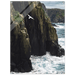 Coastal Sentinel Acrylic Canvas - Phantom 4