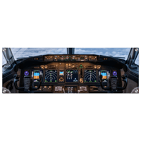 Commanding the Skies Acrylic canvas - Phantom 4